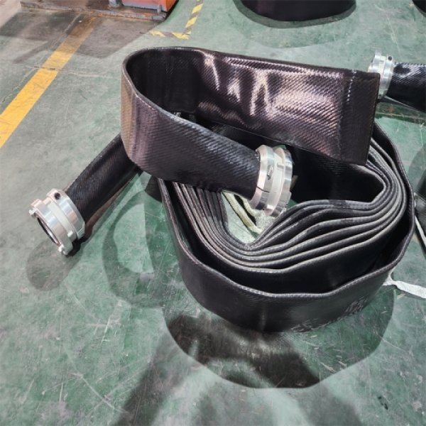 20250615154651_14456